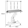 Hydraulic Pet Dog Grooming Table Lift Height Adjustable H Bar 180kg Weight Capacity Large 106cm x 61cm Grey Rubber Top Professional Heavy Duty Steel White Frame 4 Adaptable Stable Feet 3 Loop Leashes