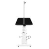 Hydraulic Pet Dog Grooming Table Lift Height Adjustable H Bar 180kg Weight Capacity Large 106cm x 61cm Black Rubber Top Professional Heavy Duty Steel White Frame 4 Adaptable Stable Feet 3 Loop Leashes