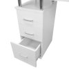 Professional Manicure Table Nail Technician Beauty Salon Tech Station Storage Desk Built In Dust Collector Fan Removable Cushion Rubber Mat 8 Castor Wheels 3 Pull Out Drawers 1 Cupboard 2 Shelves