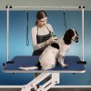 Hydraulic Pet Dog Grooming Table Lift Height Adjustable H Bar 180kg Weight Capacity Large 106cm x 61cm Blue Rubber Top Professional Heavy Duty Steel White Frame 4 Adaptable Stable Feet 3 Loop Leashes