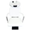 Salon Chair Backwash Unit Hairdressing Barber Tilting Sink Shampoo Back Hair Washing Hairdresser Wash White