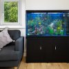 MonsterShop Fish Tank Aquarium & Starter Accessories, Black Cabinet, Blue Gravel, 4ft, 300L