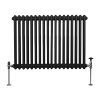 Traditional 2 Column Radiator - 600 x 832mm - Black