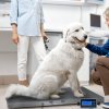 Digital Vet Scales Heavy Duty Floor Weighing Scale 90 x 60cm Platform Hold Accumulation 300kg Pounds Kilograms Bluetooth Rechargeable Battery Animal Livestock Pet Dog Cat Industrial Warehouse Parcel