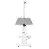 Hydraulic Pet Dog Grooming Table Lift Height Adjustable H Bar 180kg Weight Capacity Large 106cm x 61cm Grey Rubber Top Professional Heavy Duty Steel White Frame 4 Adaptable Stable Feet 3 Loop Leashes