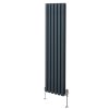Oval Column Radiator 1600mm x 360mm & TRV Chrome Valves Modern Designer Double Panel Central Heating Heater Anthracite Grey Steel Vertical Kitchen Living Room FREE Cleaning Brush Fixing Kit & Brackets