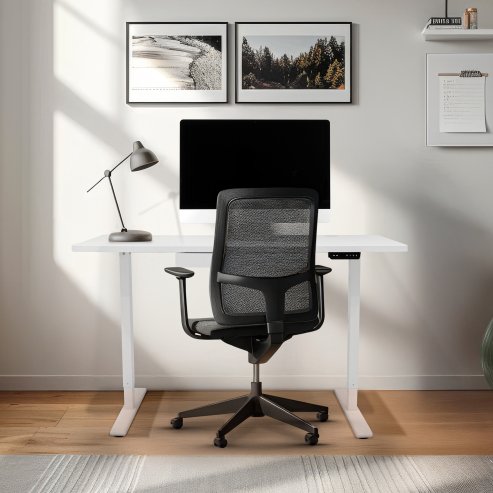 Electric Standing Desk 120 x 60cm White Height Adjustable Ergonomic Sit Stand Computer Workstation Built In Drawer USB A & C Charging Cable Holes & Tray Bag Hook Office Table Timer Memory Smart Panel