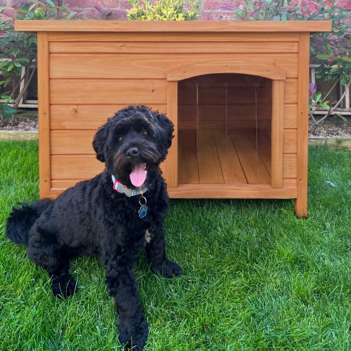 Dog Kennel - Small