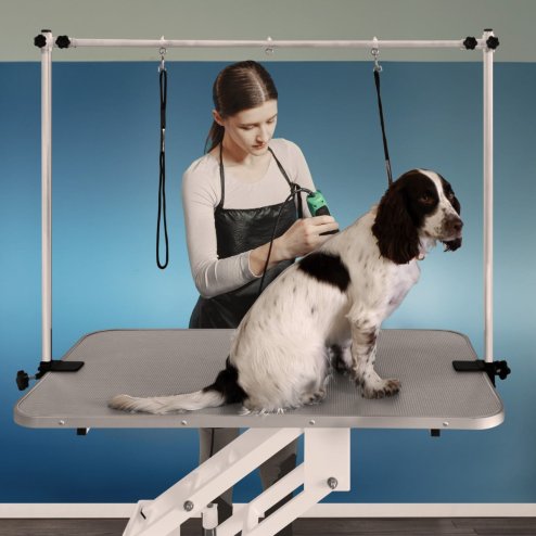 Hydraulic Pet Dog Grooming Table Lift Height Adjustable H Bar 180kg Weight Capacity Large 106cm x 61cm Grey Rubber Top Professional Heavy Duty Steel White Frame 4 Adaptable Stable Feet 3 Loop Leashes