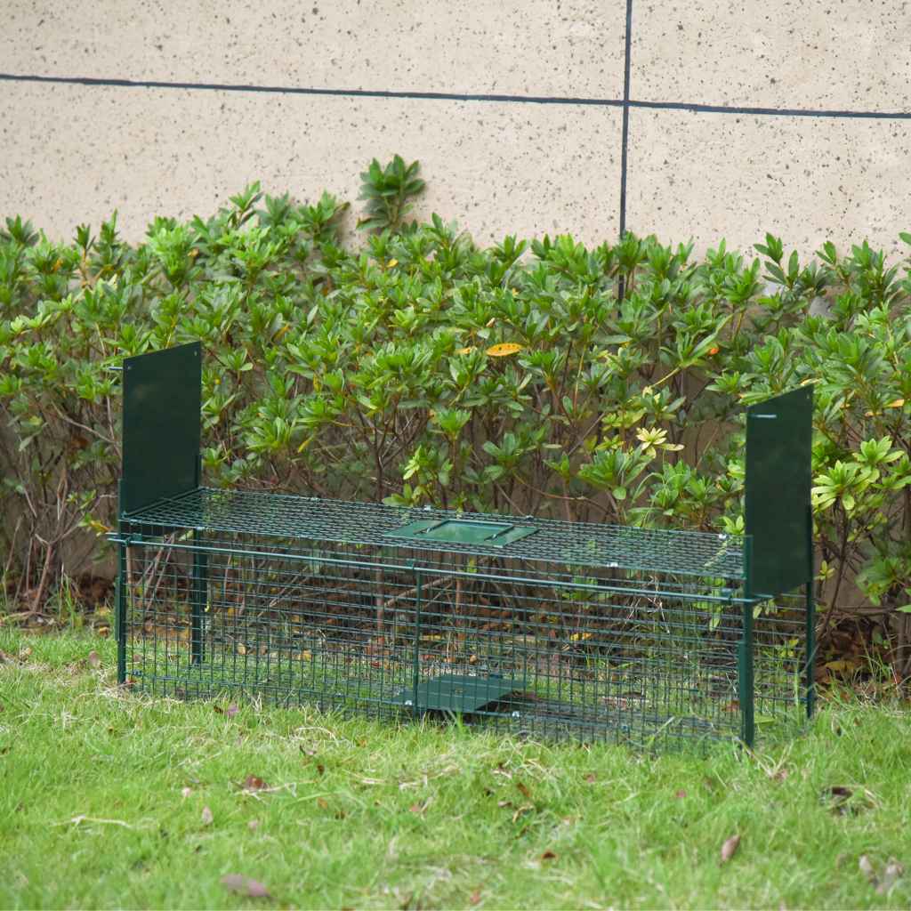 Rodent Traps & Boxes Image