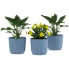 Outsunny Set of 3 Plastic Round Plant Pots Outdoor 22cm, Garden Planters, Flower Pots for Garden Decoration, Patios, Indoor, Outdoor, Home, Blue