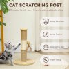 PawHut Cat Scratching Post for Indoor Cats, 47cm Tall Cat Scratcher with Jute Sisal Rope, Hessian fabric, Hanging Toy Ball, Feather, Kitty Climbing Tree with Anti-slip Base, Brown