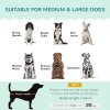 PawHut Dog Sofa for Medium, Large Dogs, Shell Shaped Pet Couch Bed with Legs, Cushion, Washable Cover - Green