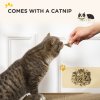 PawHut Cat Scratching Board, Cat Scratcher TV Shape Corrugated Cardboard 2 in 1 Cat House with Catnip, for Indoor Cats, Brown