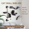 PawHut 4 Piece Cat Shelves, Cat Wall Furniture with Hammock, Scratching Posts, Soft Ladder, Steps, Jump Platforms, for Indoor Kittens - Dark Grey