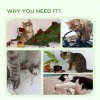 PawHut Cat Scratching Post Cat Tree Tower With Bed for Indoor Cats Scratcher Toy Balls 48 x 38 x 42cm - White