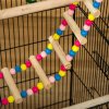 PawHut Bird Cage for Budgies, Finches, Canaries w/ Accessories, Toys, Tray, Handle, 46 x 36 x 100cm - Black