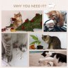 PawHut Cat Wall Shelves, 6-Piece Cat Wall Furniture Set with Condo, Platforms, Sisal Scratching Post, Bed and Toy Ball, for Climbing, Sleeping, Playing, Grey