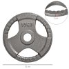 HOMCOM Set of 2 Cast Iron Weight Plates for 2