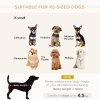 PawHut Dog Sofa for XS-Sized Dogs, Elevated Pet Bed with Removable Sponge Padded Cushion, Cat Couch Lounge with Washable Cover, Storage Bag, Grey