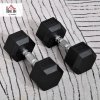 HOMCOM Rubber Dumbbell Sports Hex Weights Sets Home Gym Fitness Hexagonal Dumbbells Kit Weight Lifting Exercise (2 x 10kg)