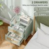 HOMCOM Bedroom Chest of Drawers, Boho Rattan Dresser with 2 Drawers, Storage Cabinet for Living Room, Hallway, Entryway, Olive Green