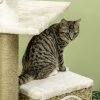 PawHut Cat Tree Climbing Kitten Tower Activity Centre for Indoor Cats w/ Jute Scratching Post, Cat House, Kitten Stand, Hanging Toy Ball - Beige