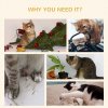 PawHut Cat Treadmill, Cat Exercise Wheel, 30 inch Kitten Running Wheel with Brake, Carpeted Runway for Exercise - Natural Wood Finish