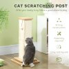 PawHut Cat Scratching Post, 67cm Cat Scratcher with Sisal Scratching Post, Track Ball Toy, Hanging Ball, 3 in 1 Cat Scratcher Post for Indoor Kittens