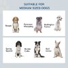 PawHut Raised Dog Bowl Feeding Bowls with Stand for Medium Dogs Elevated Pet Bowls Water Food Feeder 58L x 31W x 25H cm - Brown