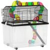 PawHut Hamster Cage, 2 Tier Gerbil Cage with 31cm Deep Tray, Tube System, Water Bottle, Ramp, Feeding Bowl, 58 x 43 x 57cm, Multicoloured