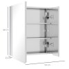 kleankin Bathroom Mirror Cabinet, Stainless Steel Wall-Mounted Bathroom Storage Cabinet with 2 Hinged Doors and Shelves for Laundry Room, 54W x 60Hcm, Silver
