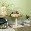 PawHut 51cm Cat Tree, Kitty Activity Center, Cat Climbing Toy, Cat Tower w/ Cattail Bed, Toy Ball, Scratching Post - Beige