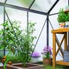 Outsunny Polycarbonate Greenhouse, Small Greenhouse with Adjustable Roof Vent, Garden Green House with Galvanised Base, Sliding Door and Rain Gutter, 190 x 190 x 200 cm, Grey