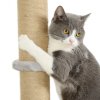 PawHut Cat Shelves, 4 Piece Cat Wall Furniture with Scratching Post, Steps, Jumping Platform, Ladder, Toy Balls, for Indoor Kittens, Light Grey