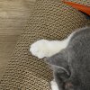 PawHut Cat Scratching Board, 2 in 1 Cat Scratcher Cardboard, Car-shaped Cat Scratch with Catnip, for Indoor Use, 50 x 30 x 12.5cm, Red