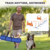 PawHut 6-Piece Dog Agility Equipment, Pet Agility Training Set with Weave Poles, Jump Ring, Hurdle, Pause Box, Obstacle Training Course Kit with Bag, Orange