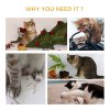 PawHut Cat Tree for Indoor Cats Climbing Activity Center Kitten Tower Furniture with Jute Post Scratching Massage Board Hanging Ball with Bell 34 x 24 x 43cm Grey