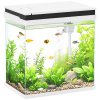PawHut Fish Tank, 14L Glass Aquarium with Filter System, LED Lights, Water Pump, Betta Fish Tank for Goldfish, Shrimps, White