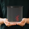 PawHut Fish Tank, 3L Nano Aquarium Starter Kit with Filter System, LED Light, Small Fish Tank for Betta, Goldfish, Shrimp, Black