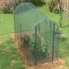 Outsunny Fruit Cage Bird Netting, Heavy Duty Fruit and Vegetable Protection Tent with Zipped Door, Anti Bird, Insects, Small Animals, 1.2 x 2.4 x 1.9m, Green