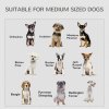 PawHut Furniture Style Dog Crate with Two Doors, End Table Pet Cage Kennel with Locks, for Medium Dogs - White