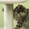 PawHut Cat Tree Climbing Kitten Tower Activity Centre for Indoor Cats w/ Jute Scratching Post, Cat House, Kitten Stand, Hanging Toy Ball - Beige