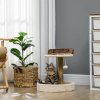 PawHut Cat Tree, 44cm Cat Tower, Cat Tree for Indoor Cats, with Sisal Cat Scratching Post, Platforms, Toy Ball - Brown