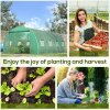 Outsunny Walk-in Polytunnel Greenhouse, Outdoor Garden Tunnel Greenhouse Tent with Zipped Roll-Up Door and 8 Mesh Windows, 6 x 3M