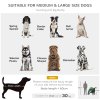 PawHut Large Dog Stroller Dog Pram Foldable Pet Pushchair with Safety Leashes for Medium, Large Dogs - Green