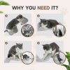 PawHut Cat Wall Shelves, 4 Piece Wall-Mounted Cat Tree with Steps, Ladder, Jumping Platforms, Scratching Posts, Toy Ball, Cat Wall Furniture for Indoor Cats, Light Grey