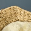 PawHut Cat Tree for Indoor Cats, Cat Climbing Tree with Scratching Posts, Cat House, Bed, Washable Cushions and Toy Ball, Beige