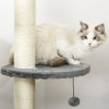 PawHut Floor to Ceiling Cat Tree for Indoor Cats, Kitten Tower, Condo, Multi-Layer Activity Center, Indoor Pet Play House with Solid Scratching Post Hanging Balls, Light Grey