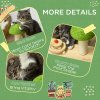 PawHut 26cm Cat Scratching Post, Mushroom-Shaped Cat Post with Toy Balls, Feather, Sisal Scratch Post for Indoor Cats - Natural tone and green